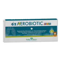 Ampoule jetable Gse Aerobiotic Junior pour solution vern.inhalation, 10x5 ml