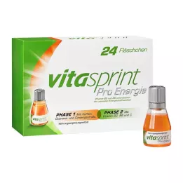 VITASPRINT Bouteilles de boissons énergisantes Pro, 24 pièces