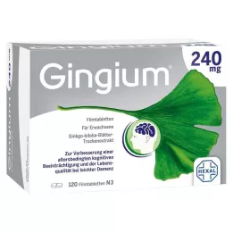 GINGIUM Comprimés pelliculés à 240 mg, 120 unités