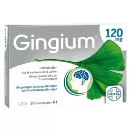 GINGIUM Comprimés pelliculés à 120 mg, 30 unités