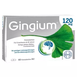 GINGIUM Comprimés pelliculés à 120 mg, 60 pièces