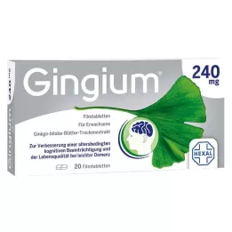 GINGIUM Comprimés pelliculés à 240 mg, 20 pièces