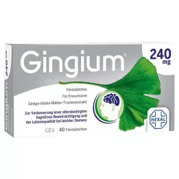 GINGIUM Comprimés pelliculés à 240 mg, 40 pièces