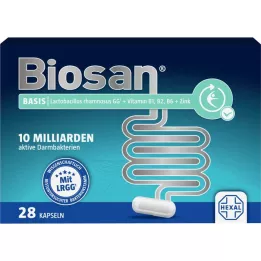Base de biosan, 28 pc