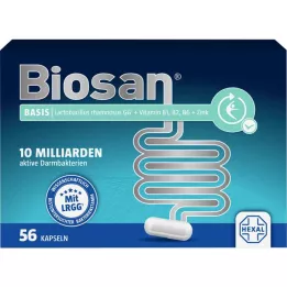 Base de biosan, 56 pc