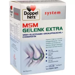 DOPPELHERZ MSM Capsules du système supplémentaire conjoint, 60 pc