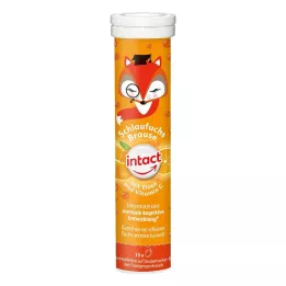 INTACT Comprimés effervescents Schlaufuchs avec fer, 15 pcs