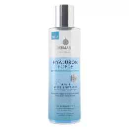 DermaSel Mer Morte Hyaluron Forte Mizellenwasser, 200 ml