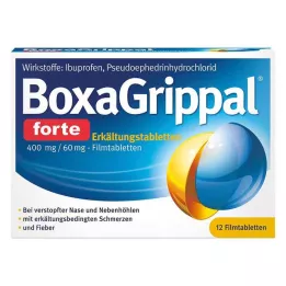BOXAGRIPPAL comprimé fort contre le rhume. 400 mg/60 mg de FTA, 12 pièces