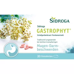 SIDROGA comprimés de films gastrophyt 250 mg, 30 pc
