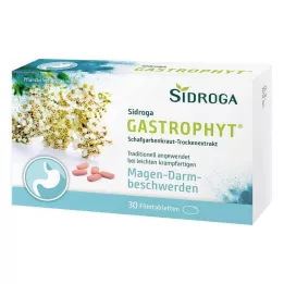 SIDROGA GastroPhyt 250 mg comprimés pelliculés, 30 pcs