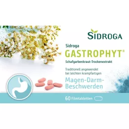 SIDROGA GastroPhyt 250 mg comprimés pelliculés, 60 pièces