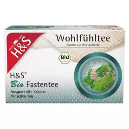 Sachets filtres de thé de jeûne biologique H&amp;S, 20 x 1,5 g