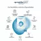 SPERMIDINELIFE Capsules Memory+, 60 unités