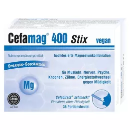 CEFAMAG 400 Stix, 36 rue