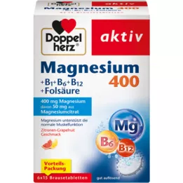 DOPPELHERZ Magnésium 400 + B1 + B12 + Acide folique BTA, 6x15 pc