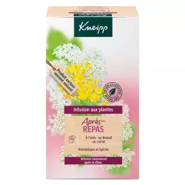 Kneipp Tisane après avoir mangé, 20 pc