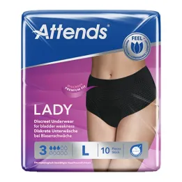 Attends Lady Discret Sous-vêtements 3 L, 10 pc