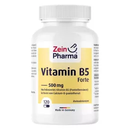 VITAMIN B5 PANTOTHENSÄURE Gélules de 500 mg, 120 pièces