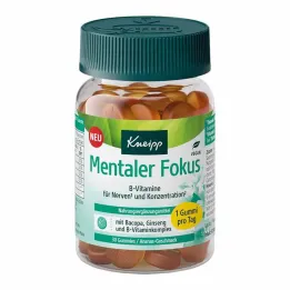 Kneipp Mental Focus Gummies, 30 pc