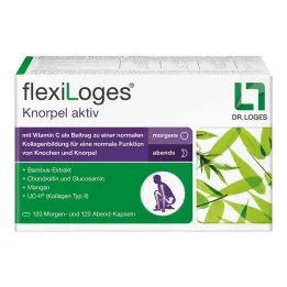 Capsules actives de cartilage Flexiloges, 240 pièces
