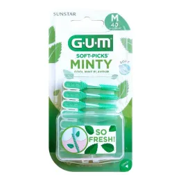 GUM SOFT-PICKS MINTY moyen, 40 pièces
