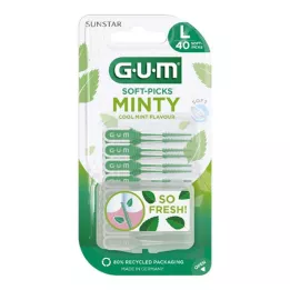 GUM SOFT-PICKS MINTY grand, 40 pièces