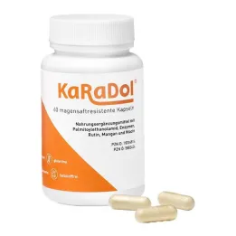 Capsules gastro-résistantes Karadol, 60 pièces
