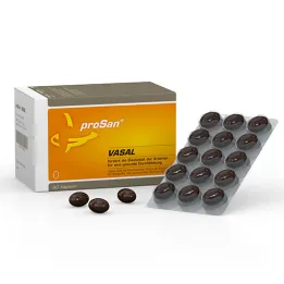 Gélules Prosan Vasal (90 pièces)