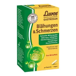 Luvos Gastrosan Flatulence &amp; Capsules de douleur, 30 pc